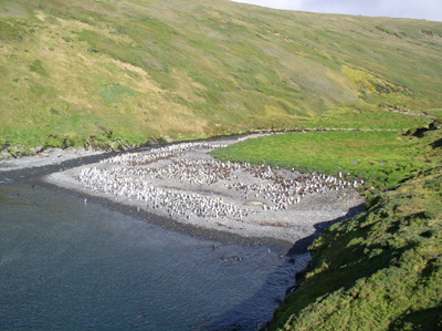 Crique de la Chaloupe