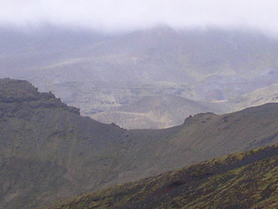 Col 300