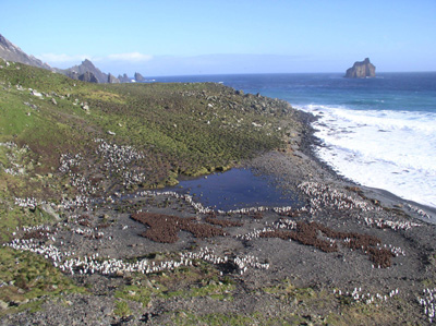 Mare aux Eléphants