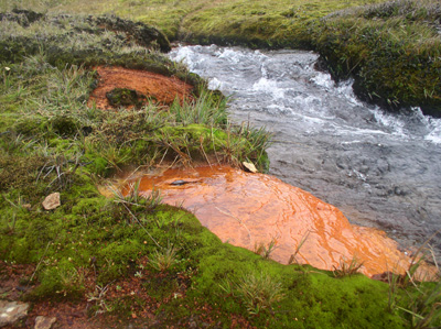 Sources Ferrungineuses