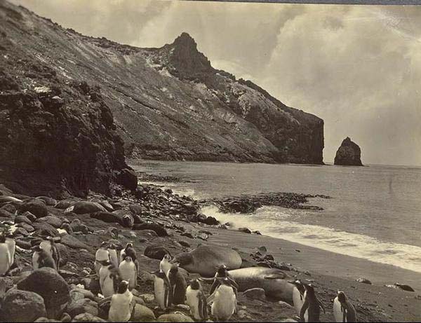 Photos du Discovery (1929)