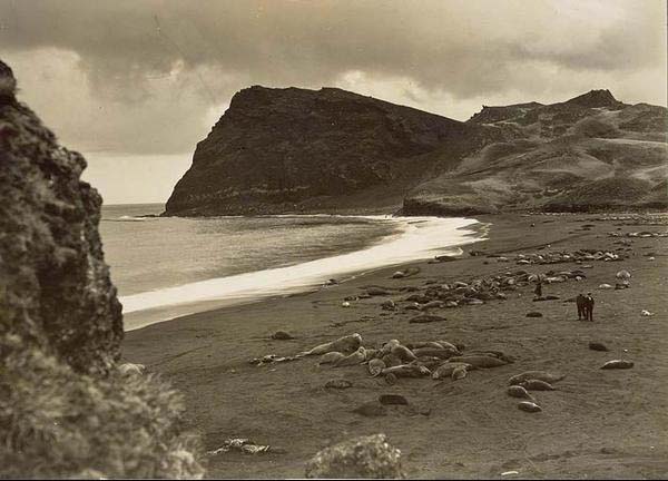 Photos du Discovery (1929)